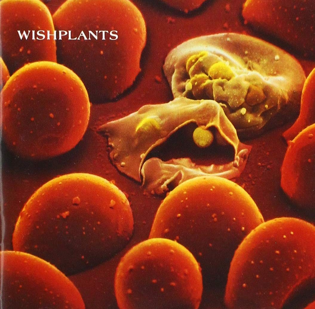 Кома из искусственных растений (CD) (ИМПОРТ ИЗ Великобритании)