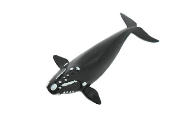 Right Whale, Animal, Realistic Toy , Kids, Hand Painted, Gift, 3