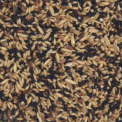 Versele Kanarien Zucht Prestige 20kg