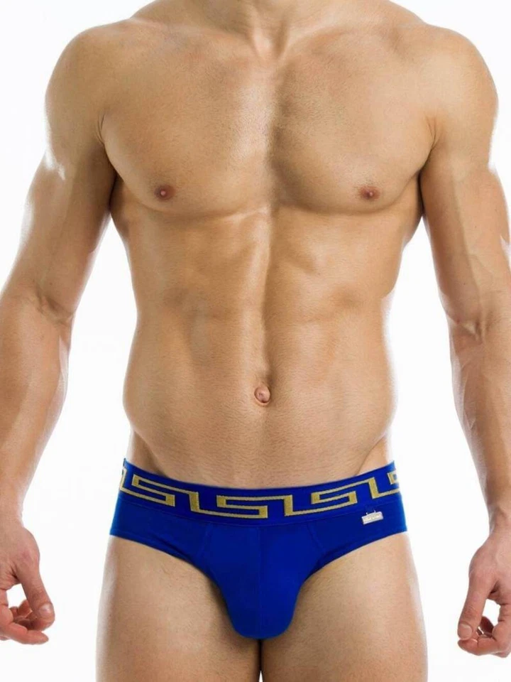 MODUS VIVENDI Meander Brief with Gold/Silver Waistband Greek Key Design - Изображение 2 из 4