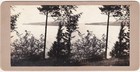 Pumpkin Point, NH View - Carlton-Boynton Family Stereoview