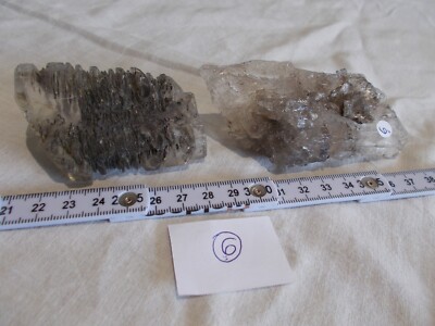 MINERALS.GYPSUM FOUND IN THE CLAY OF THE SPARNACIAN.A LUDES PRES EPERNAY.200g.