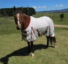 LOVE MY HORSE 5'9 6'3 Cotton / Dura Mesh Hybrid Rug Red / Black