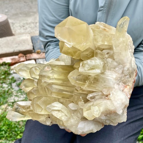 10.23LB Natural Citrine cluster mineral specimen quartz crystal healing - 第 8/13 張圖片