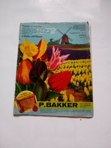 Catalogo Fiori Bakker Tulipani pp.64 - Foto 1 di 2