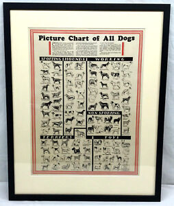 All Dog Breeds Chart