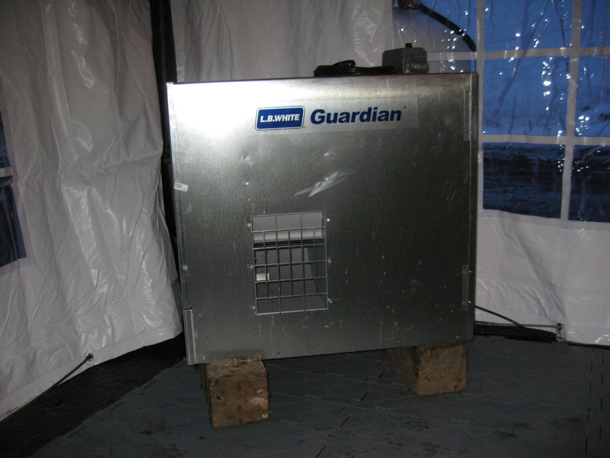 LB White, barn, livestock, swine, poultry, 250,000 BTU heater, George Maser