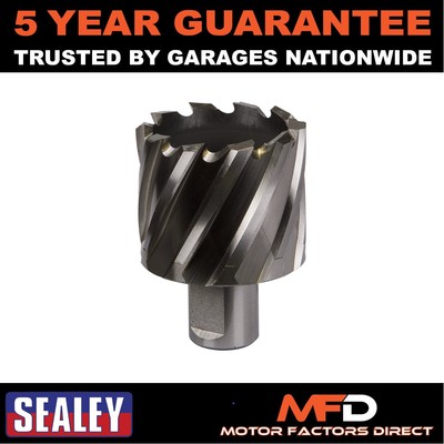 Sealey Worksafe �� 45 mm HSS Mag Bohrer Schnitttiefe 25 mm RBHSS45S