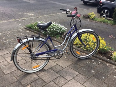 schwinn cruiser