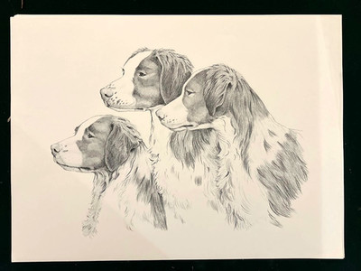 Brittany  trio by Martha Van Loan unsigned print 14 x 19