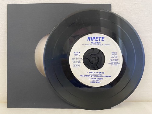 The Invitations - Skifahren im Schnee - 7" Single seltene USA Presse - Dobie grau - Bild 2 von 4