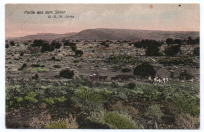 Postcard DSWA Lot from South Colony German Southwest Africa 1910s