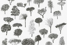 Postcard Fujiwo Ishimoto Marimekko Design: Rantapuisto, 2005 Trees Unused MINT