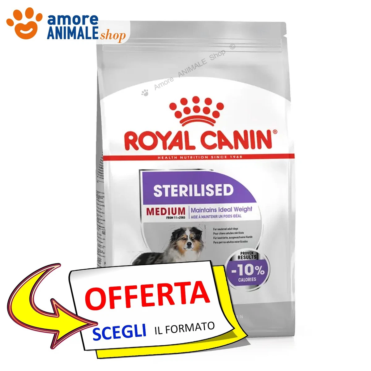 Ancestral Grain Poulet & Grenade Chien Adulte Medium/Maxi - 12,00 Kg