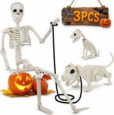 36" Halloween Skeleton Decorations - 3FT Posable Skeleton with Dog  Cat