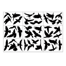 9pcs Anti-Collision Window Clings Bird Window Sticker Decals for Prevent People