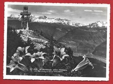 NV ITALY POSTCARD - LA MENDOLA - Peak Penegal with Belvedere towards the Dolomites