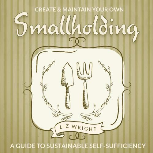 Create and Maintain Your Own Smallholdin - 1786647729, Taschenbuch, Liz Wright, neu - Bild 1 von 1