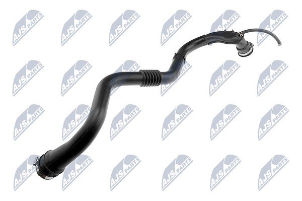 NTY GPP-RE-006 LadegeräT Luftschlauch FüR Renault-image