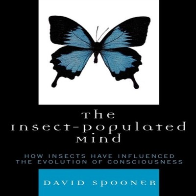 Insect-Populated Mind How Insects Have Influenced the Evolution o