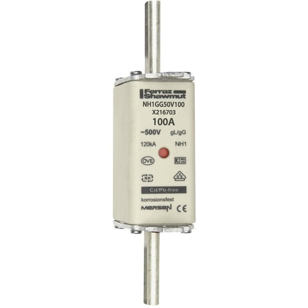 Mersen 1B163.000000 Nh-Sicherung SicherungsgrößE = 1 100 A 500 V 1 St.-image