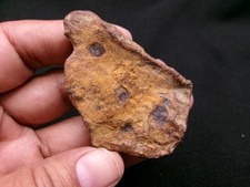 154 gram - Seymchan Meteorite Individual - As found condition, from Russia