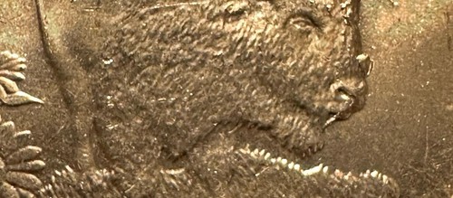 Huge die break progression on Head of Buffalo 2005P Kansas State Quarter toned - Picture 10 of 18