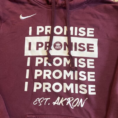 lebron we are family hoodie