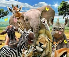 Paint By Numbers Adults kids Happy Safari Animal DIY Painting Kit 40x50CM Canvas