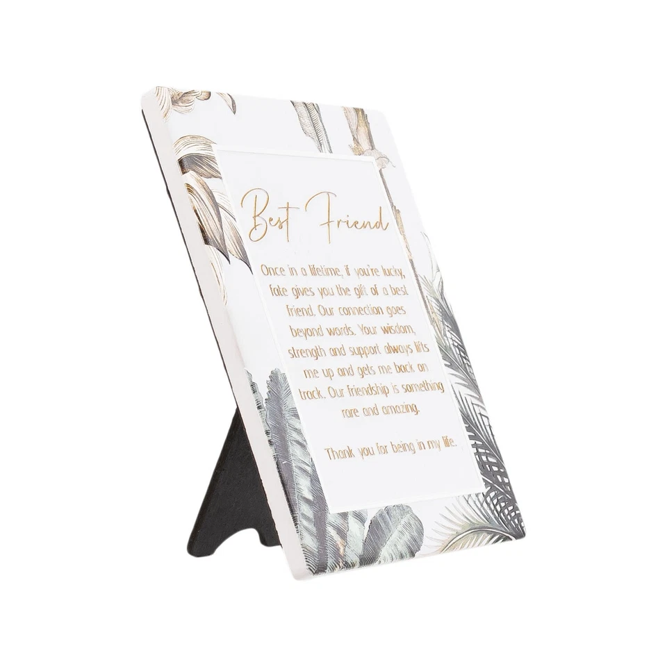 Splosh Exotic Plaque Best Friend Verse Great Home Decor EXO010-1224 - image 2 of 4