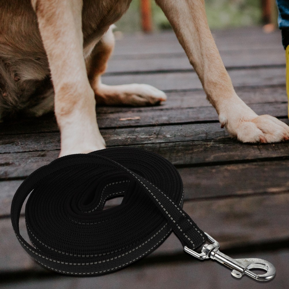 Guinzaglio per Cani - Accessorio per Addestramento foto 5