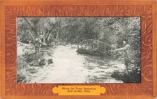 NW East Jordan Charlevoix MI FISHING the Jordan River or Deer Creek TROUT STREAM