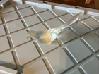 Vintage Fenton frosted glass bird in excellent condition
