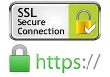 Professional ESET FULL SSL Certificate for Commercial Website........