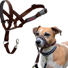 Halti Optifit Kopfgeschirr für Hunde Walnuss verstellbar mit Sicherheit