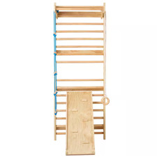 Swedish Ladder Wall Gym, 5 in 1 Wooden Indoor Playground Climbing Toys, 220 Lbs.