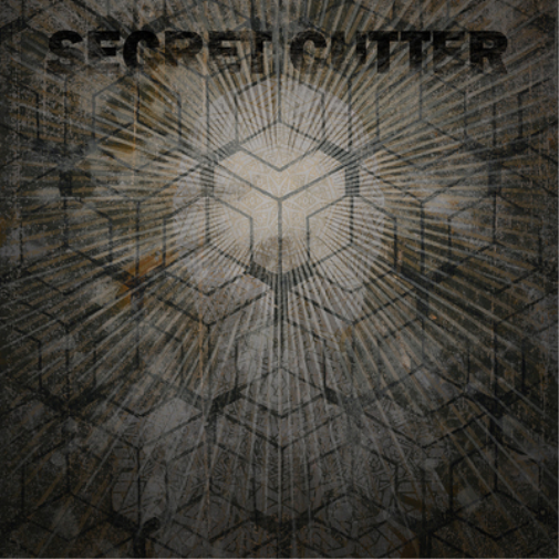 Secret Cutter Quantum Eraser (Vinyl LP) 12" Album