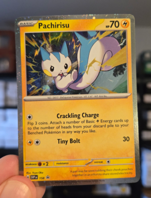 Pokmon TCG Pachirisu SVP 158 Scarlet & Violet Black Star Promo NM/M | eBay