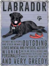 Black Labrador large steel sign 400mm x 300mm 16" x 12" 