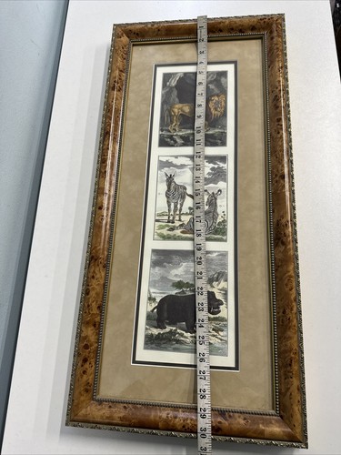 Print Frame Mat 14x30.25" Burlwood Buffon Engraving Lion Zebra Hippo Africa - Picture 2 of 15