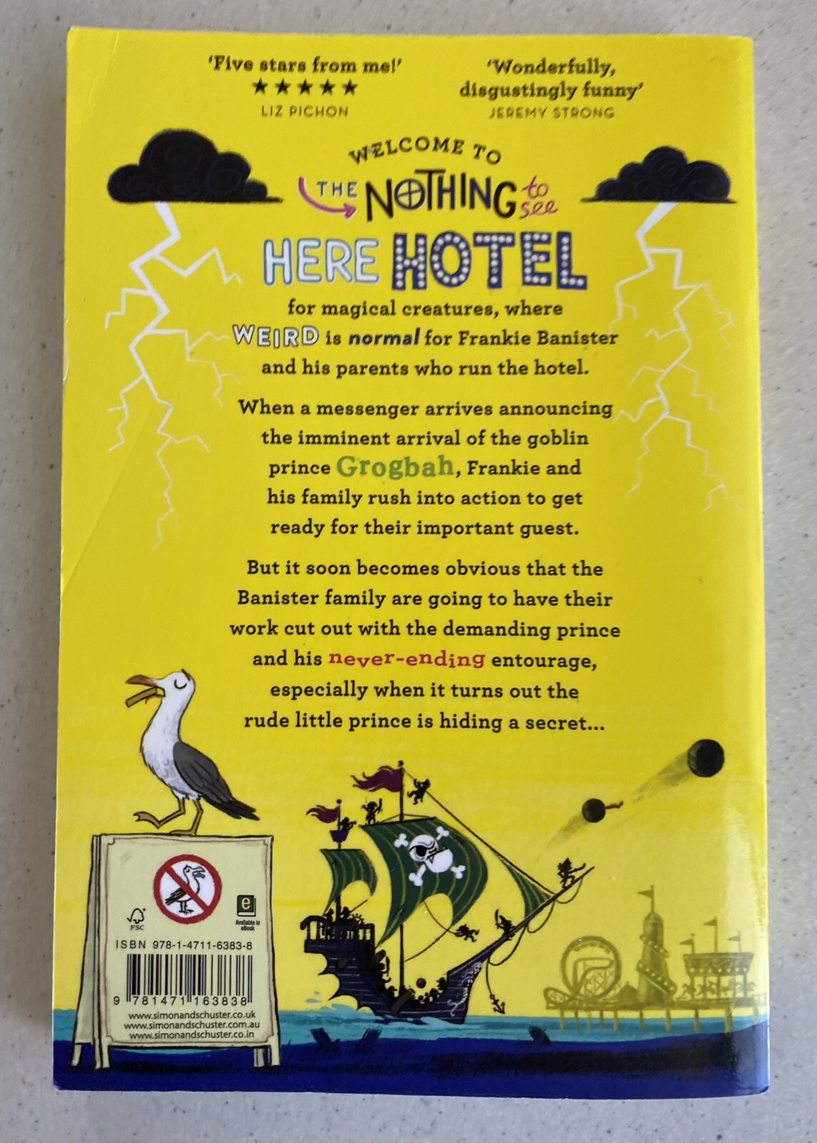 NEW Nothing to See Here Hotel by Steven Butler Children Book Novel