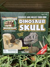 Toysmith Dinosaur Skull - Excavate And Collect Set Of 4