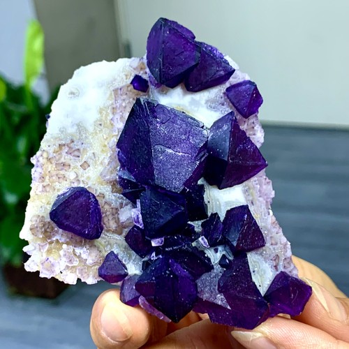 Esemplare minerale cristallo a grappolo di fluorite ottaedrica viola naturale 91G - Foto 18 di 23