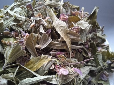 5 Kg 176.4 Oz Jerusalem sage Phlomis pungens Grass Dried Medicinal plant