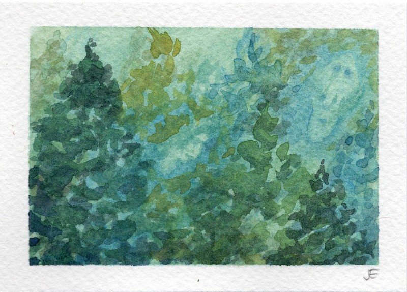 ACEO Original Watercolor Trees Forest Nature Spiritual Hidden Faces ~ No Reserve