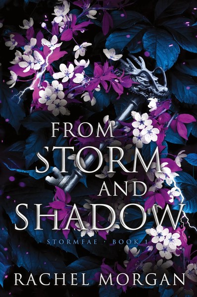 From Storm And Shadow Rachel Morgan Taschenbuch Kartoniert / Broschiert Englisch-image