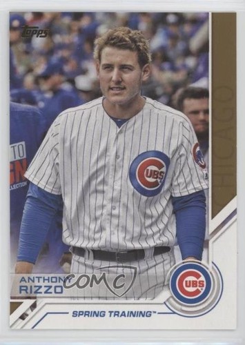 2017 Topps Topps Salute Spring Training Anthony Rizzo #S-175 | eBay