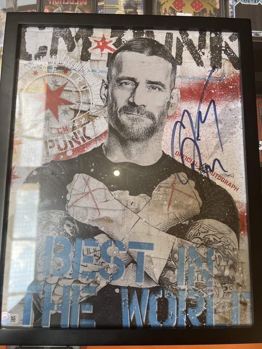 CM Punk 11x14 WWE Official Autograph Poster | eBay