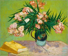 Oleanders by Vincent van Gogh Art Print