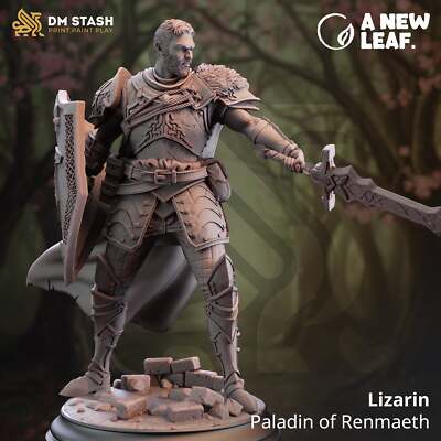 Lizarin Paladin of Renmaeth - Adventure Continues - DM Stash - Wargaming D&D DnD